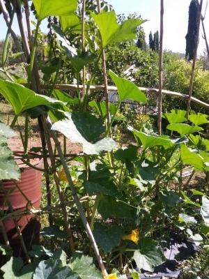 20190718_101507.JPG 20190718_101507.JPG