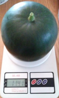 sb.jpg (54.69 KiB) Osservato 612 volte sb.jpg