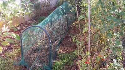 20190908_084833.jpg (176.16 KiB) Osservato 643 volte 20190908_084833.jpg