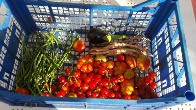 20190908_085432.jpg (120.53 KiB) Osservato 643 volte 20190908_085432.jpg