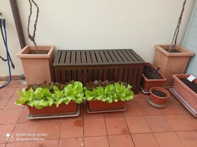 7.jpg (88.76 KiB) Osservato 1151 volte 7.jpg