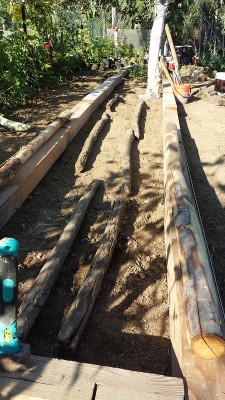 37 Hunghercultur.jpg (258.56 KiB) Osservato 801 volte 37 Hunghercultur.jpg