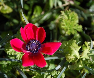 39.JPG (186.03 KiB) Osservato 801 volte 39.JPG