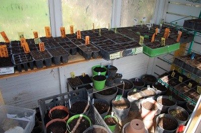 46.JPG (252.01 KiB) Osservato 788 volte 46.JPG