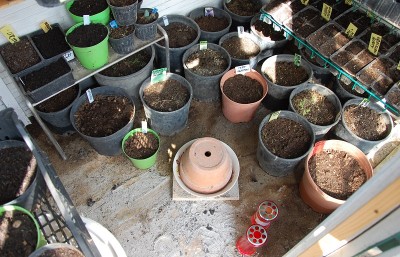 47.JPG (276.57 KiB) Osservato 788 volte 47.JPG