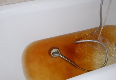 90276708_10206718163190143_7338511212210028544_o.jpg (72.09 KiB) Osservato 713 volte 90276708_10206718163190143_7338511212210028544_o.jpg