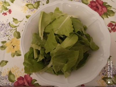 IMG_20200316_183338.jpg (76.42 KiB) Osservato 1090 volte IMG_20200316_183338.jpg