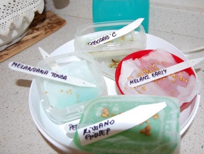 54 Yogurtiera.jpg (61.62 KiB) Osservato 673 volte 54 Yogurtiera.jpg