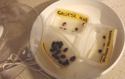 53.jpg (151.1 KiB) Osservato 673 volte 53.jpg