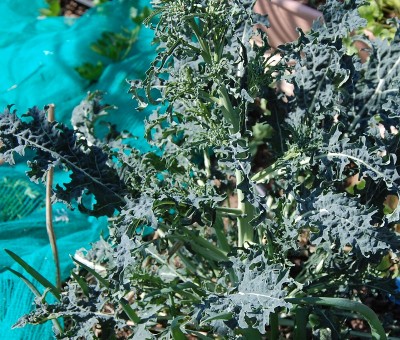 57.JPG (349.66 KiB) Osservato 671 volte 57.JPG