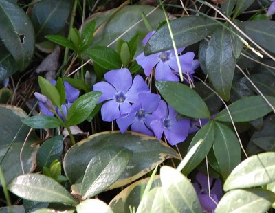 58.JPG (211.97 KiB) Osservato 671 volte 58.JPG