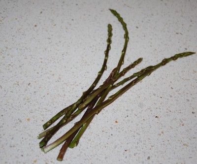 61.JPG (201.96 KiB) Osservato 630 volte 61.JPG