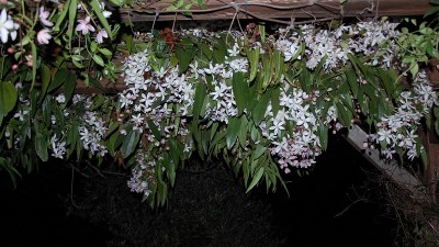 62.JPG (230.52 KiB) Osservato 630 volte 62.JPG