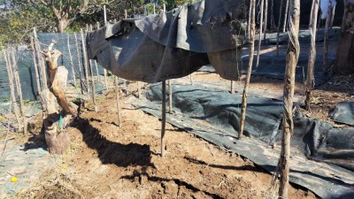 6-prep-prode.jpg (159.58 KiB) Osservato 1420 volte 6-prep-prode.jpg