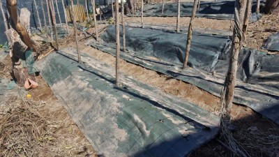 7-prep-prode.jpg (149.88 KiB) Osservato 1420 volte 7-prep-prode.jpg