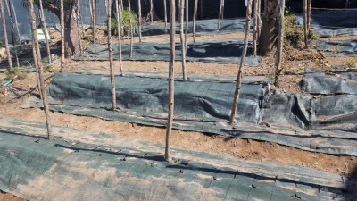 8-prep-prode.jpg (141.13 KiB) Osservato 1420 volte 8-prep-prode.jpg