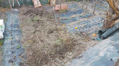 9-prep-fragole.jpg (157.1 KiB) Osservato 1415 volte 9-prep-fragole.jpg