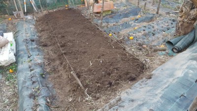 10-prep-fragole.jpg (143.63 KiB) Osservato 1415 volte 10-prep-fragole.jpg