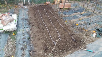 11-prep-fragole.jpg (150.42 KiB) Osservato 1415 volte 11-prep-fragole.jpg