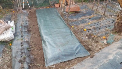 12-prep-fragole.jpg (129.47 KiB) Osservato 1415 volte 12-prep-fragole.jpg