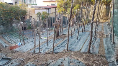 19-pulito.jpg (157.01 KiB) Osservato 1404 volte 19-pulito.jpg