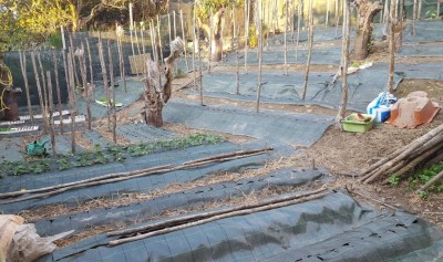 21-pulito.jpg (150.61 KiB) Osservato 1404 volte 21-pulito.jpg