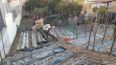 20-pulito.jpg (138.85 KiB) Osservato 1404 volte 20-pulito.jpg