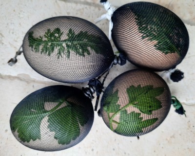 112.jpg (244.45 KiB) Osservato 676 volte 112.jpg