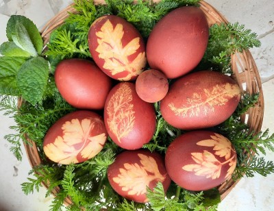 113.jpg (278.67 KiB) Osservato 676 volte 113.jpg