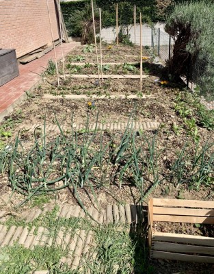 5231041A-7330-4FF5-97B7-0C434DA7FDB4.jpeg (270.4 KiB) Osservato 649 volte 5231041A-7330-4FF5-97B7-0C434DA7FDB4.jpeg