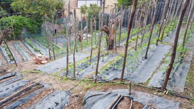 panoramica.jpg (180.15 KiB) Osservato 641 volte panoramica.jpg