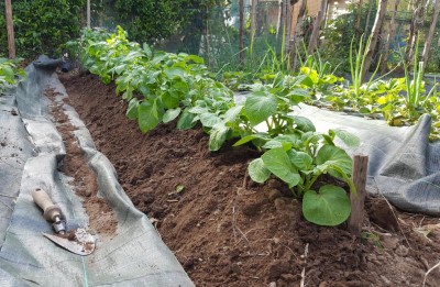 20200502_170606.jpg (184.46 KiB) Osservato 651 volte 20200502_170606.jpg