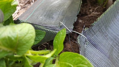 20200502_171423.jpg (109.51 KiB) Osservato 651 volte 20200502_171423.jpg