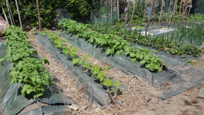 20200503_125023.jpg (175.21 KiB) Osservato 651 volte 20200503_125023.jpg