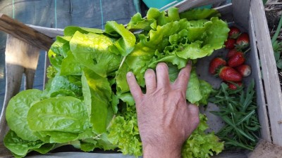 20200506_182942.jpg (96.65 KiB) Osservato 646 volte 20200506_182942.jpg