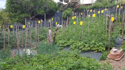 trappole_1.jpg (174.34 KiB) Osservato 536 volte trappole_1.jpg