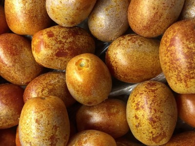 Sono mangiabili? / A32712BD-4A06-4C29-AD19-45A6EA0F5585.jpeg A32712BD-4A06-4C29-AD19-45A6EA0F5585.jpeg
