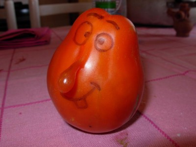 Signor Pomodoro-3.JPG (57.41 KiB) Osservato 932 volte Signor Pomodoro-3.JPG