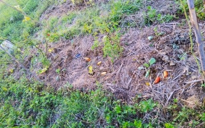 20200822_192459.JPG 20200822_192459.JPG