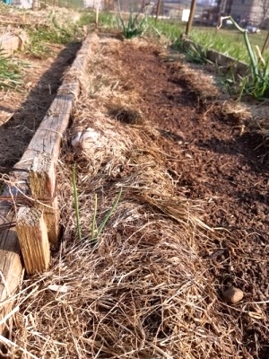 20210308_153522 foto Stail (osservato 25 volte).JPG 20210308_153522 foto Stail (osservato 25 volte).JPG