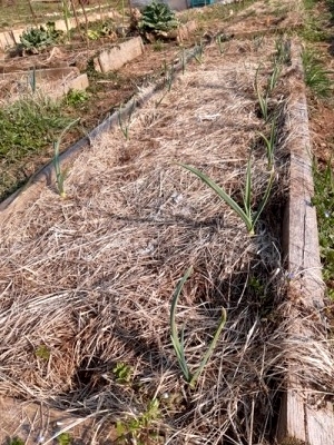 20210308_153531foto Stail (osservato 25 volte).JPG 20210308_153531foto Stail (osservato 25 volte).JPG