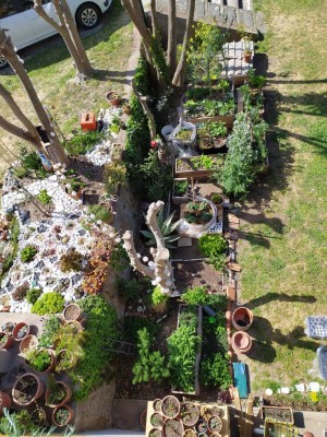 1617700674420.jpg (243.65 KiB) Osservato 1867 volte 1617700674420.jpg