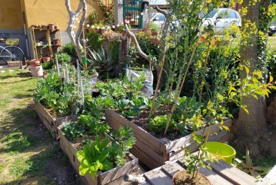 1617700674270.jpg (205.12 KiB) Osservato 1867 volte 1617700674270.jpg