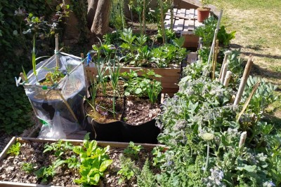 1617700674231.jpg (214.52 KiB) Osservato 2049 volte 1617700674231.jpg