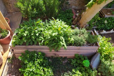 1617700674211.jpg (179.62 KiB) Osservato 1867 volte 1617700674211.jpg