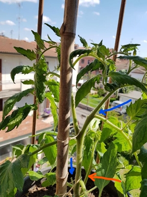 foto 1.JPG foto 1.JPG