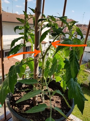 foto 2.jpg foto 2.jpg