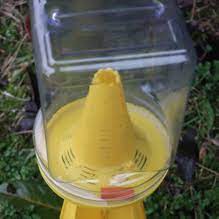 download (1).jpg download (1).jpg