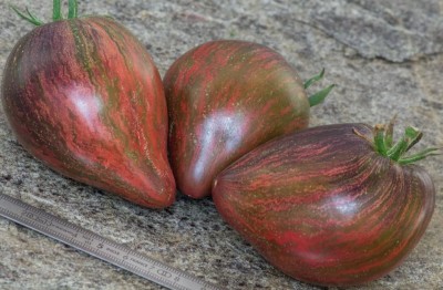 Rebel Startfighter Prime EV.jpg (104.08 KiB) Osservato 451 volte Rebel Startfighter Prime EV.jpg