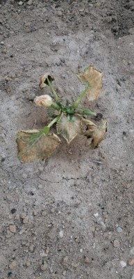 Foto / IMG-20230505-WA0006.jpg IMG-20230505-WA0006.jpg